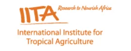IIta