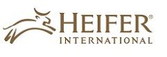 heifer